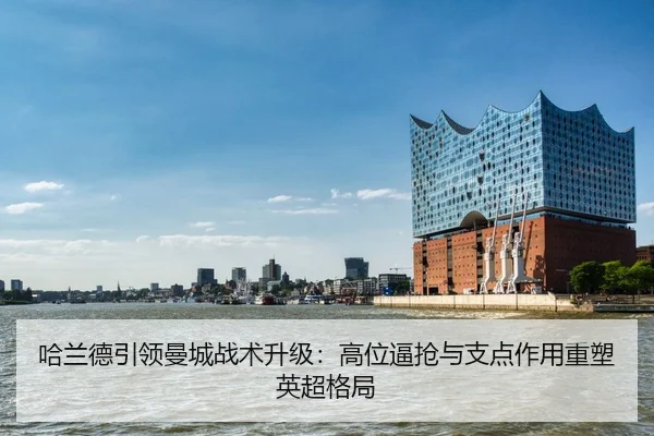 ha-lan-de-yin-ling-man-cheng-zhan-shu-sheng-ji-gao-wei-bi-qiang-yu-zhi-dian-zuo-yong-zhong-su-ying-chao-ge-ju-2-729.jpg