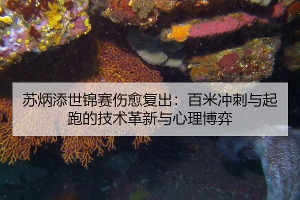 苏炳添世锦赛伤愈复出：百米冲刺与起跑的技术革新与心理博弈