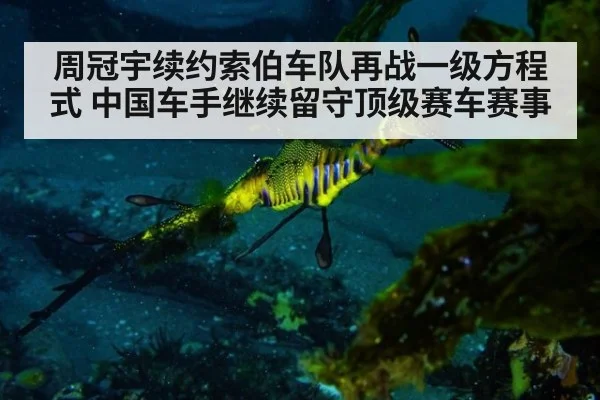 周冠宇续约索伯车队再战一级方程式 中国车手继续留守顶级赛车赛事